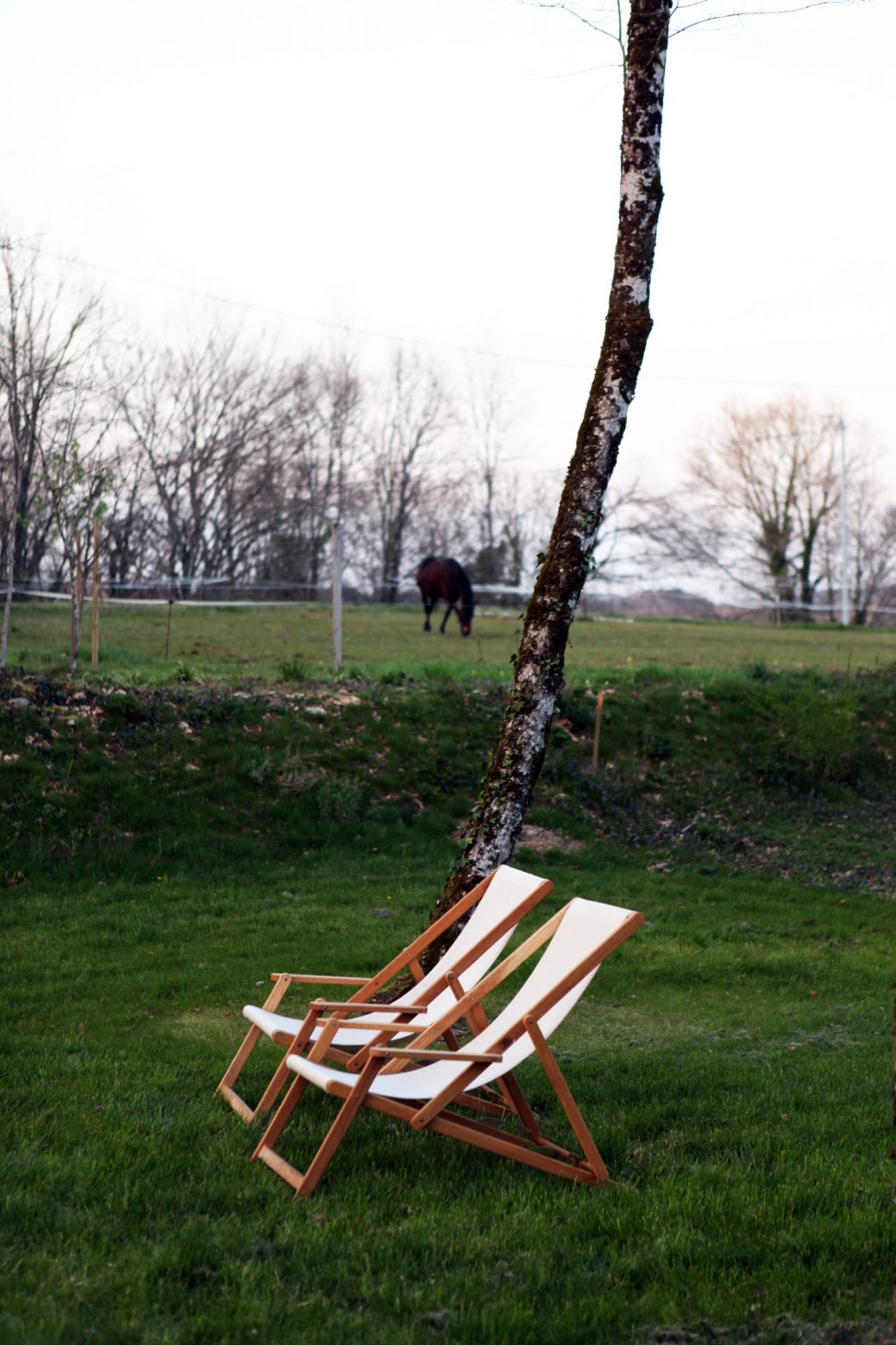 The well-being - Maison Les Grands Chênes
